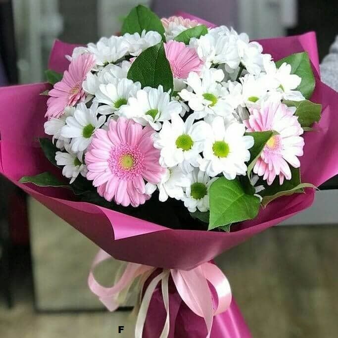 Новый день от 6 600 руб.